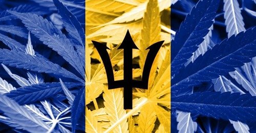 ganjavacations jamaica